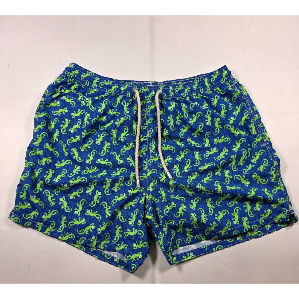 MC2 Saint Barth Mens Blue Green Gecko Lizard Print Swim Trunks Size Large L